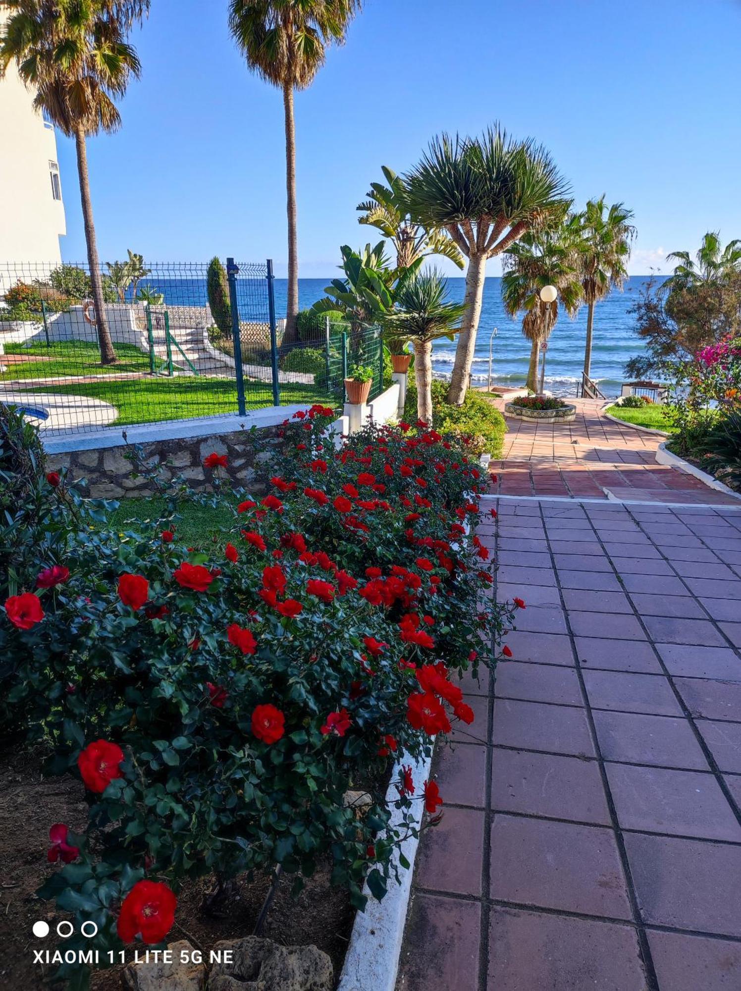 Algaidabeach-Paseolitoral Sitio de Calahonda Εξωτερικό φωτογραφία